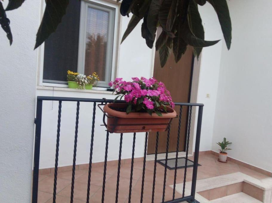 Apartament Casa Di Cristina Fiumicino Zewnętrze zdjęcie