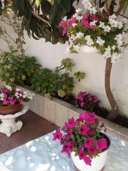 Apartament Casa Di Cristina Fiumicino Zewnętrze zdjęcie