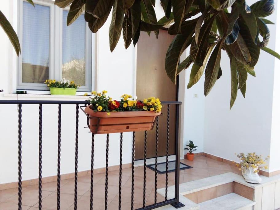 Apartament Casa Di Cristina Fiumicino Zewnętrze zdjęcie