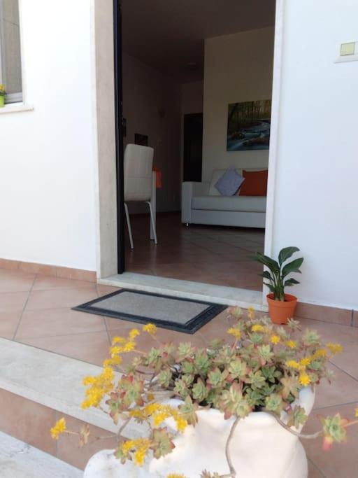 Apartament Casa Di Cristina Fiumicino Zewnętrze zdjęcie