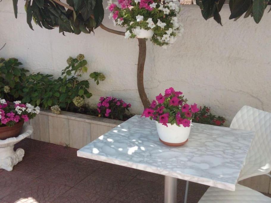 Apartament Casa Di Cristina Fiumicino Zewnętrze zdjęcie