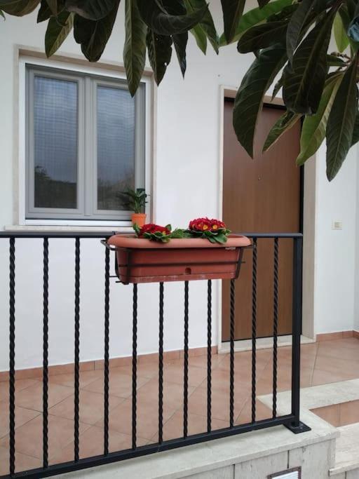 Apartament Casa Di Cristina Fiumicino Zewnętrze zdjęcie