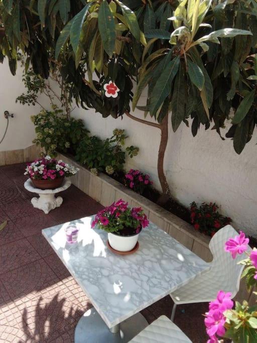 Apartament Casa Di Cristina Fiumicino Zewnętrze zdjęcie